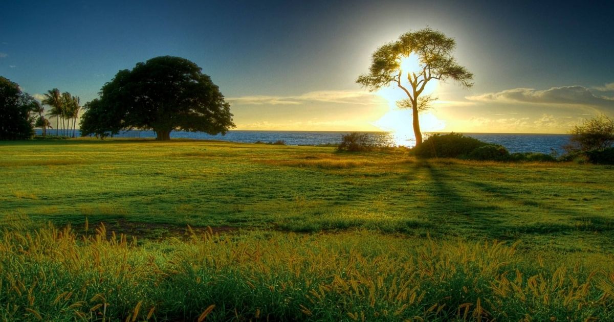 طرائف من التاريخ