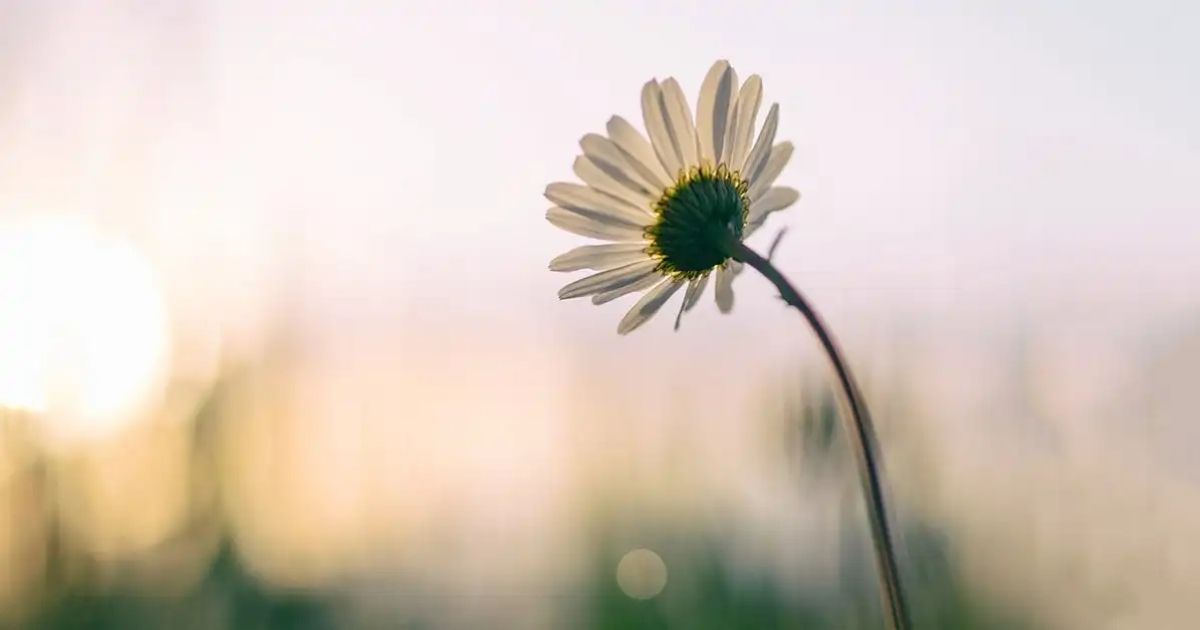 حياتي مع المسيح